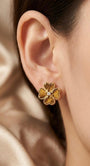 Signature -Earrings - Tiger Eye