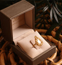 26386036-14C1-403F-ACBA-67FF0426F76D