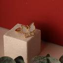 2AC187CE-5759-473C-BE79-37108A2C9CD3