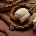 383905D7-2F85-43FF-9FDC-7BA7668E2E26