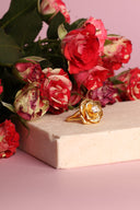 5CF78C12-C438-451E-BFFB-7EED9B872945