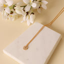 61CC664C-7838-492F-BD16-0515DEC04529