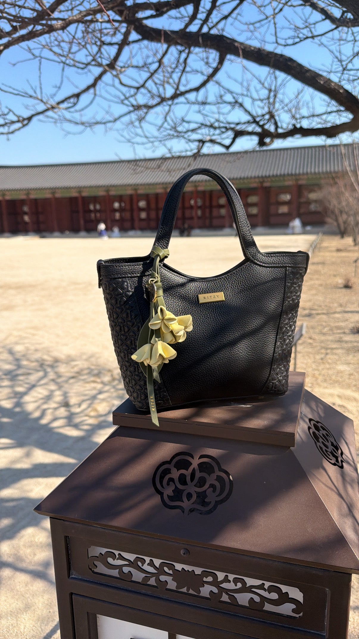 Ritzy Small Tote Bag - black