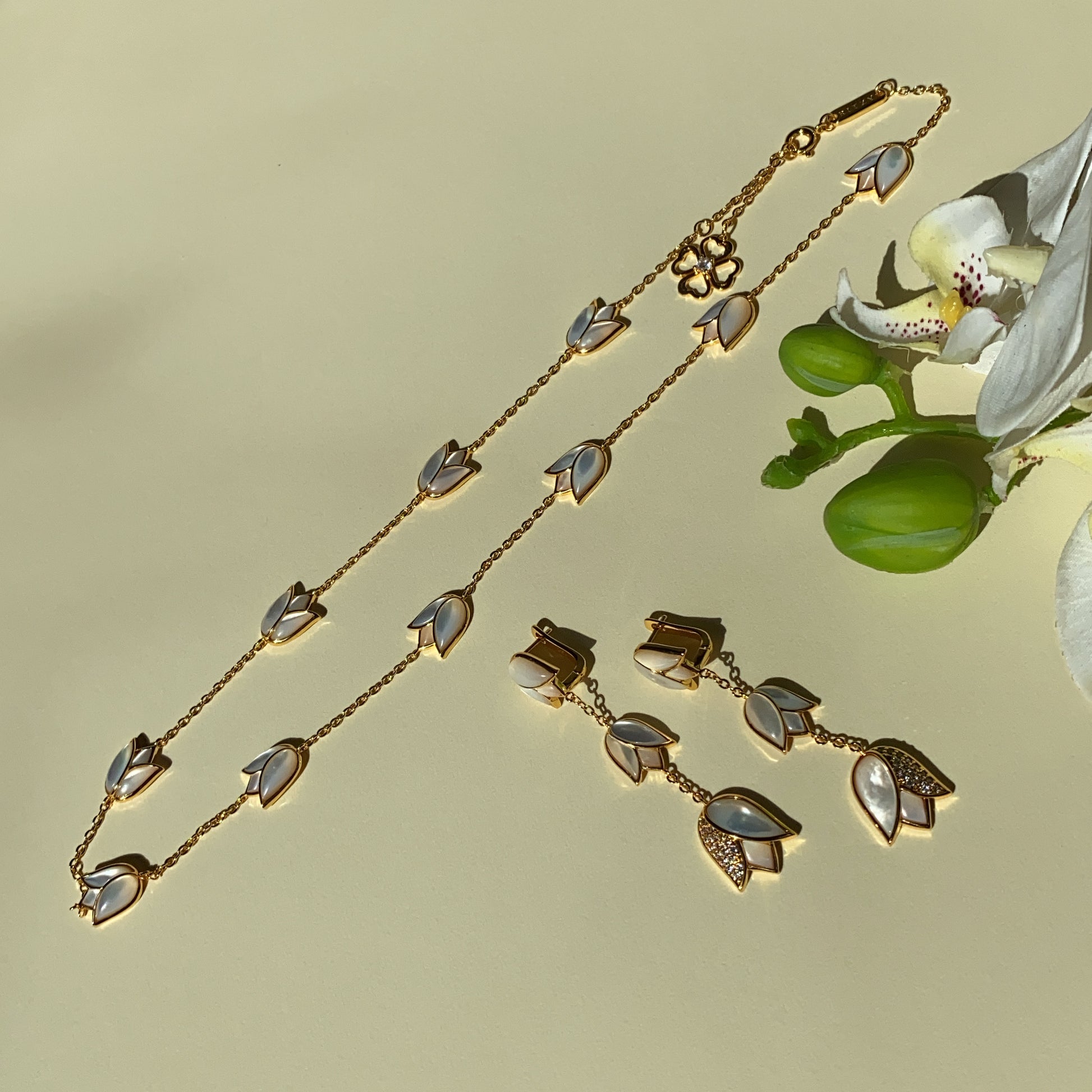 BC573A56-C8EE-4EA8-B05B-87A89DFF1FD8