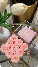 C0972699-C334-45D3-ADBA-78604AA13380