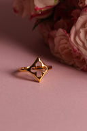 C538DAAC-EB6A-4D63-94F0-5B1D5C2A4D4A