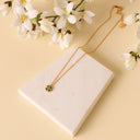 D014B3DF-EB25-4A25-88C3-31A272FA71AC