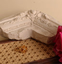 D4E73F07-D462-4616-9DB5-6316749983C8