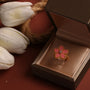 D5204E06-4333-4559-B661-EDA667AF4E40