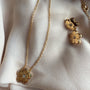 IMG_3495