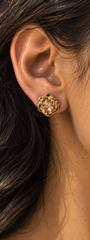 Ward Interchangeable Earrings