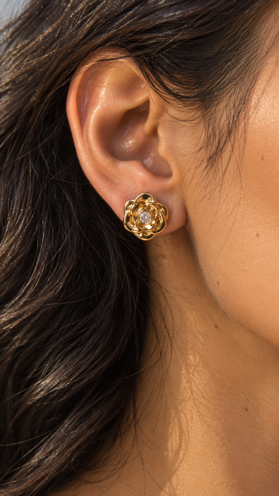 Ward Interchangeable Earrings